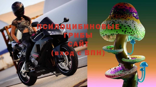 эйфоретик Чекалин