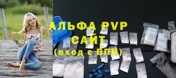эйфоретик Чекалин