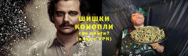 амф Шадринск
