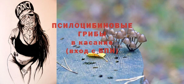 не бодяженный Шали